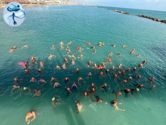 SirensSwim2025 (1).jpg